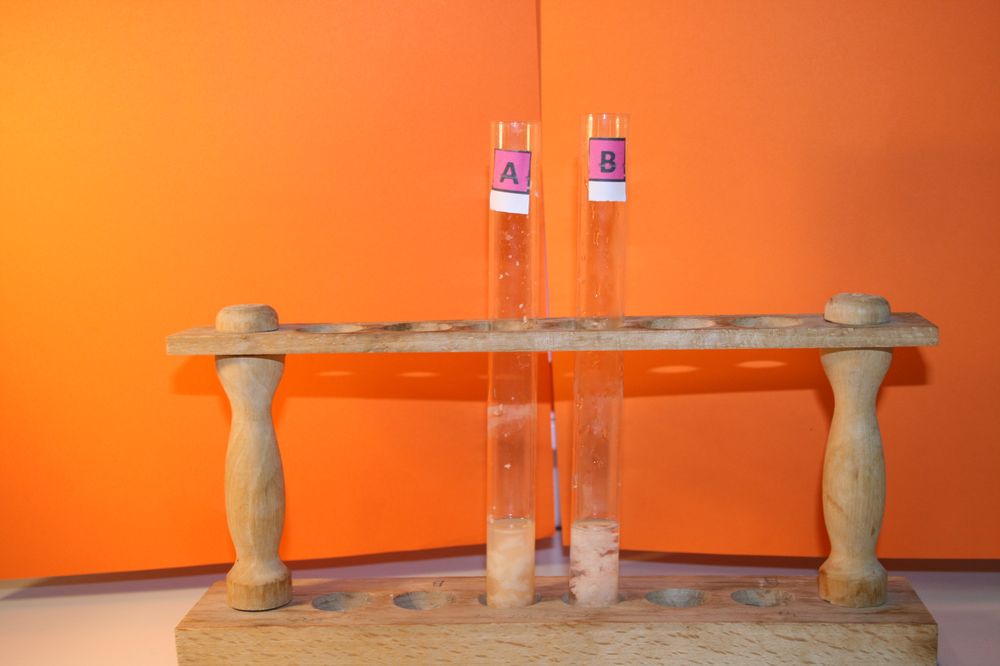 gal/LES_CINQUIEMES/ACTIVITE DIGESTION IN VITRO/Groupe_04/Groupe04_T_00h00min/Groupe04_T_00h_00min_6.JPG